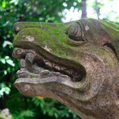 Mayanhop - Djungel Jam B2