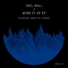 Joel Mull - Wind It Up (Original Mix)