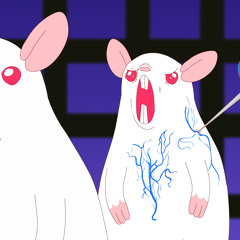 SCIENTIFICALLY ACCURATE PINKY AND THE BRAIN