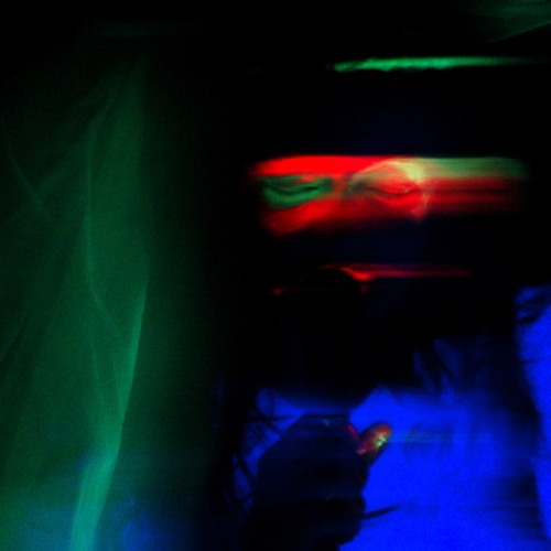 WORMWOOD- transitional herbs 2015