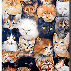 Choir Full of Souljas