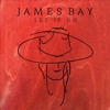 let-it-go-james-bay-cover-delicia-moodley