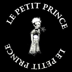 Best Of Petit Prince - 100% Vinyls DJ Set