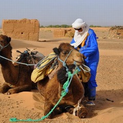 Dieter Werner - Atoning Desert