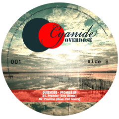 Queemose - Promise (Dave Pad Remix)