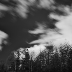 What Gives You That Idea?