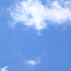 Florence + The Machine - How Big How Blue How Beautiful Live