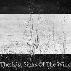 The Last Sighs Of The Wind - This City Will Remember Us