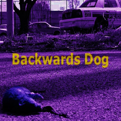Backwards Dog - At The Beach