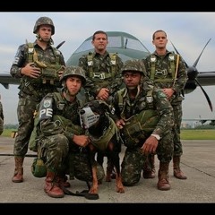 CANÇÃO DE TFM - Cães De Guerra Preparar