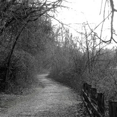 Odd Preludes I (Misterioso)