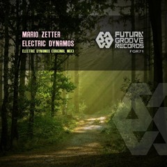 Mario Zetter - Electric Dynamos (  Original Mix )