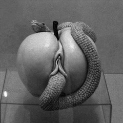 Jazz Electro sampler