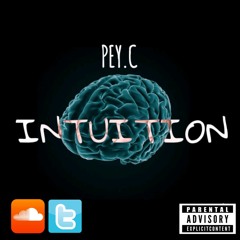 Intuition