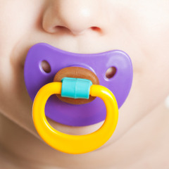 Hush! Hush! - RunFoxRun!