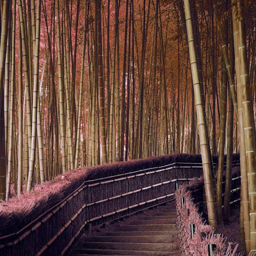 Mark Slee - March: Of Single Steps [March 2015]