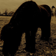 Tales of a mare (Epona`s Song From Ocarina Of Time)