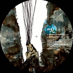 mR - droning reality (TMN 05)