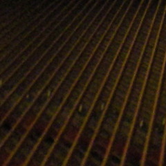Clarumbra (nocturno selvático)