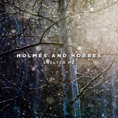 Shelter Me (Original Mix)