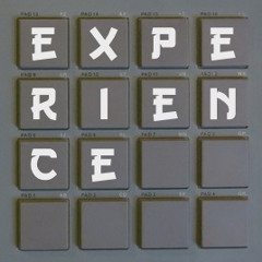 Experience (FORSALE @ WWW.DJDHARMONK.COM £30/$45 EXCLUSIVE RIGHTS)