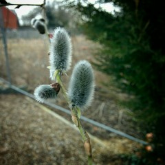 This is how my year began