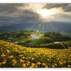 Daze Of Joy (iNSTRUMENTAL)