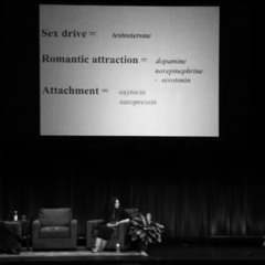 The "Why We Love" Demonstration