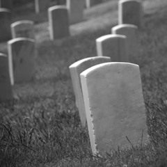 Những xác chết nhảy múa trước bình minh (trích)// The dance of the death (extract)