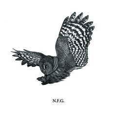 Nocturnal Forest Gathering