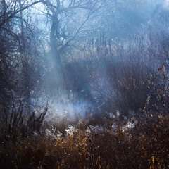 †ě∆-GØØDBYE_EVΔ