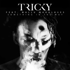 Tricky feat. Mallu Magalhães - Something In The Way