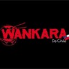 wankara-viva-la-solteria-wankaradechile