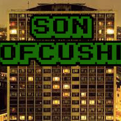 The Streets - WhoGotTheFunk [SonOfCushi Remix]