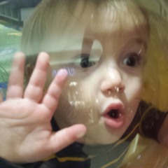 Babycakes Live V.2 - Gimme Shelter Featuring Davin Stedman