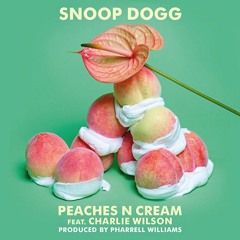 Snoop Dogg Ft. Charlie Wilson Vs Kool & The Gang - Peaches On It (MiXkA Funk Bootleg)