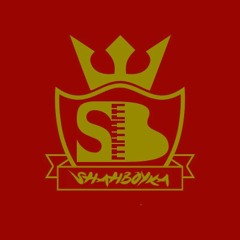 Hysterio Of High Asylum (ShahBoyka Mashup)