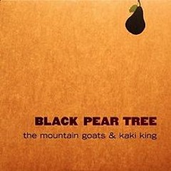 The Mountain Goats & Kaki King - Black Pear Tree