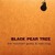Artwork for The Mountain Goats & Kaki King - Black Pear Tree
