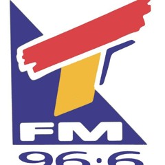 I-96.6 TFM DT Zippy 1