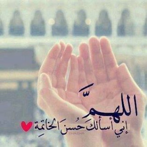 الشيخ محمد الليثى -مقطع يبكى كل كائن حى وغيرُ حى