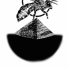 Oracle Illustration (album demo)