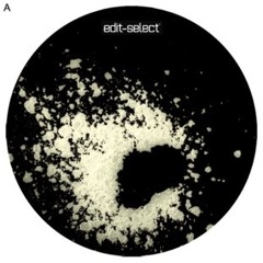 SNTS - Edit Select 019 Incl. Blue Hour remix