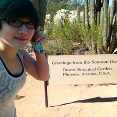 Behind The Bars Elliott Smith Cover