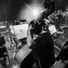 ABCdario - Fonseca Sinfonico  (Instrumental)