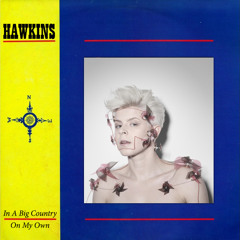 In a Big Country On My Own (Big Country v. Robyn)