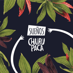 11 - Sueños