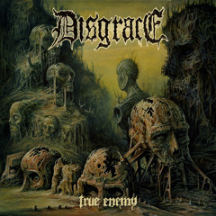 Disgrace -  True Enemy