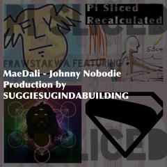 Pi Sliced Recalculated production by Suggiesugindabuilding featuring MaeDali - Johnny Nobodie