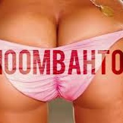 Moombahton mix by dj level
